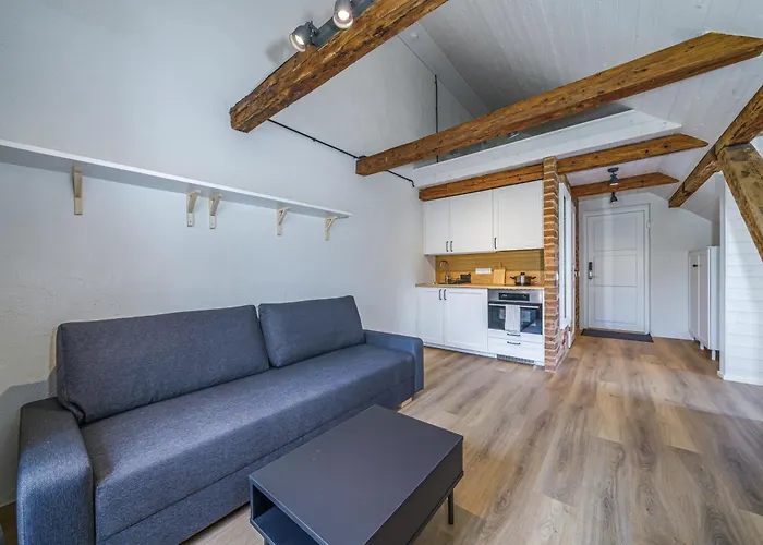 H7 Stuudiokodud- Self Check-in Viljandi (Viljandimaa)